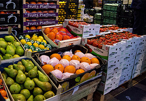 доставка овощей в магазины Россия-Беларусь